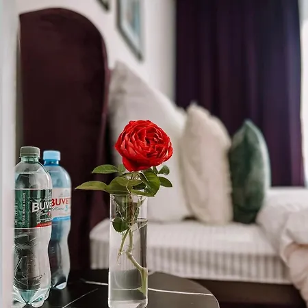Mis Family House з чаном та сауною Apartment Kosiv