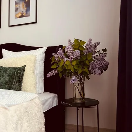Apartment Mis Family House з чаном та сауною Kosiv
