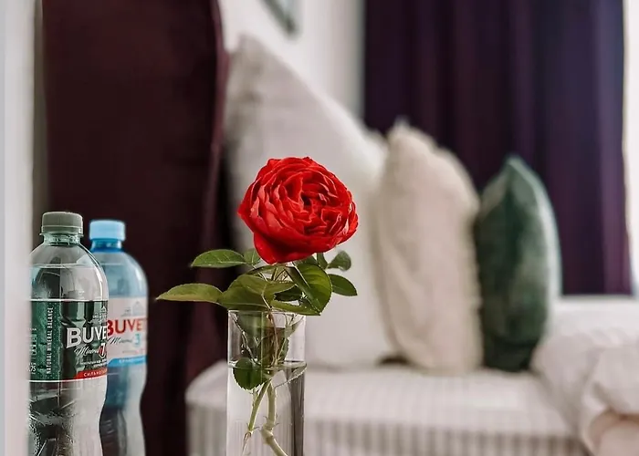 Mis Family House з чаном та сауною Апартаменты Косов